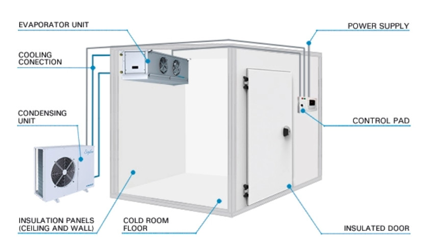 Thi công lắp đặt kho lạnh tại Hà Nội